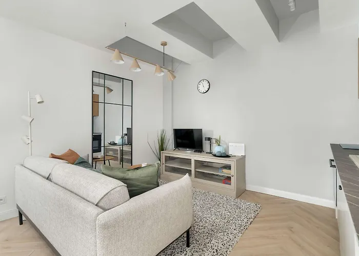 Przestronny Z Biurkiem W Centrum Poznania Blisko Rynku I Parku By Renters Apartment