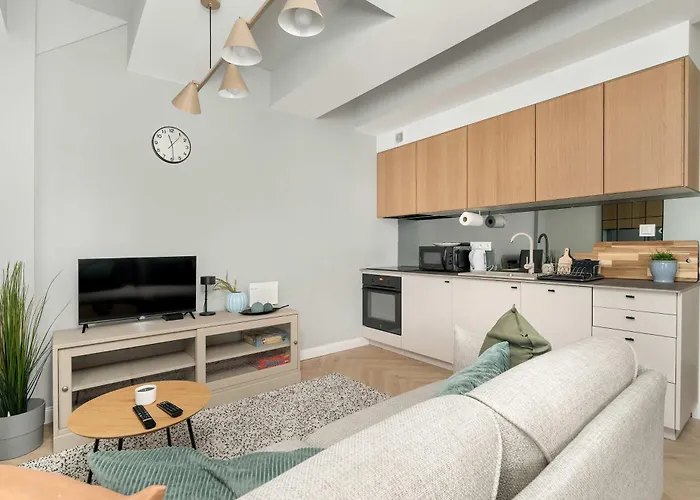 Przestronny Z Biurkiem W Centrum Poznania Blisko Rynku I Parku By Renters Apartment Poznan